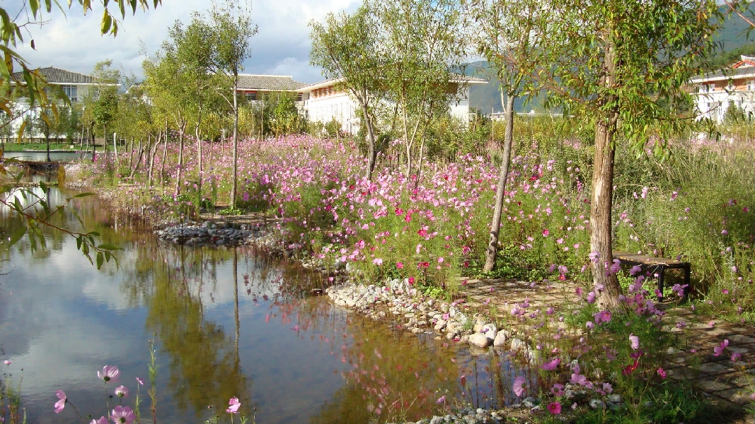 云南大學(xué)旅游文化學(xué)院——校園景觀圖(小徑)