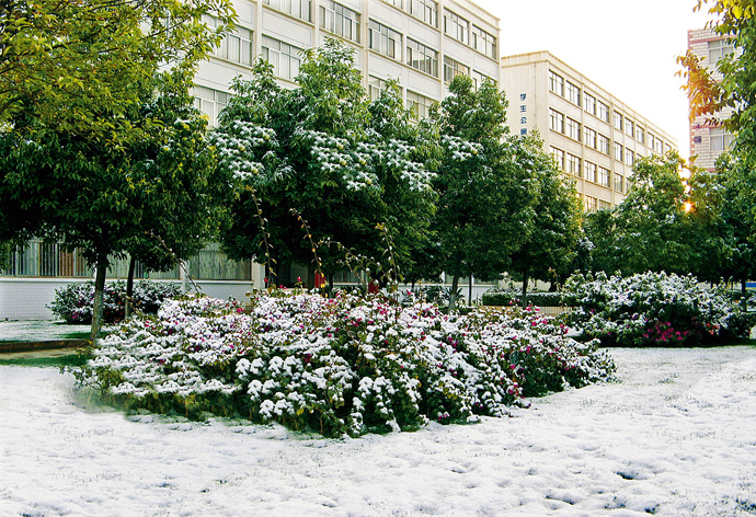 云南經(jīng)濟(jì)管理學(xué)院_冰雪校園